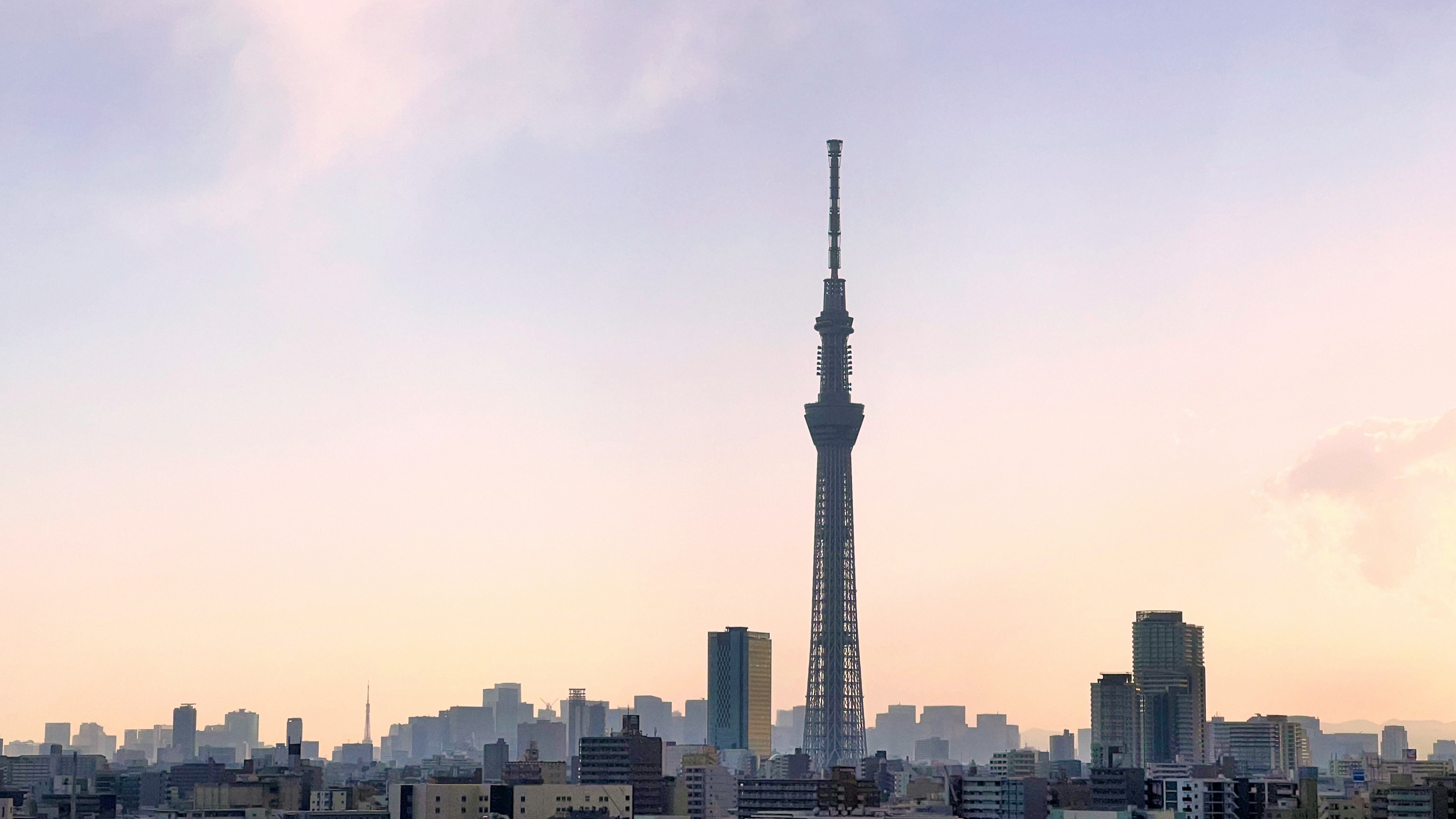 The tall Tokyo Skytree towering over other buildings in the distance.